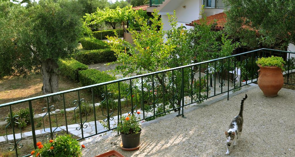 Aris Pension Агия-Параскеви Экстерьер фото